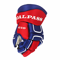 Хоккейные перчатки игрока GOAL&PASS G10 YTH NEW 2019